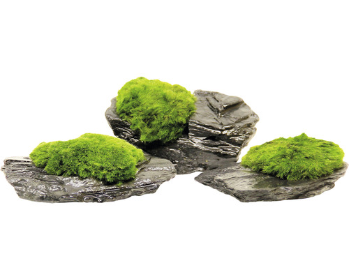 Pierres décoratives avec mousse pour aquariums