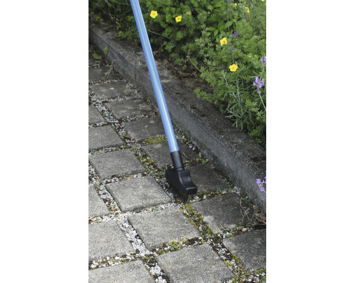 Brosse à joints avec manche bleu nettoie les pavés des mauvaises herbes