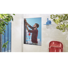 Moustiquaire pour fenêtre tesa Insect Stop Comfort sans perçage blanc 170x180 cm