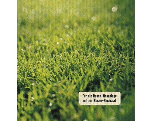 Gros plan sur une pelouse pour l''aménagement et le réensemencement de pelouse