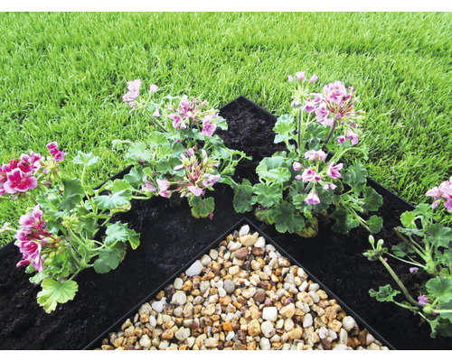 Nahaufnahme von rosa Geranien, Erde und Kies in einer Garteneinfassung