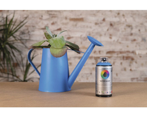 Décoration avec arrosoir bleu, plante et bombe de peinture