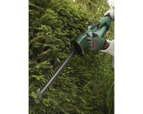Akku-Heckenschere im Einsatz an einer Hecke