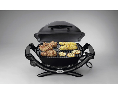 Weber Elektrogrill mit Grillgut
