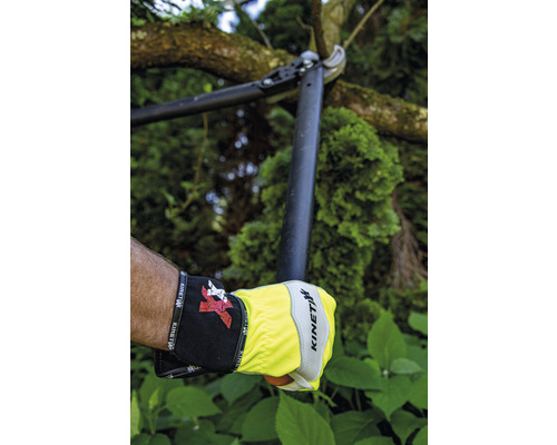 Eine Person benutzt eine Astschere mit Handschuhen zum Beschneiden eines Baumes.