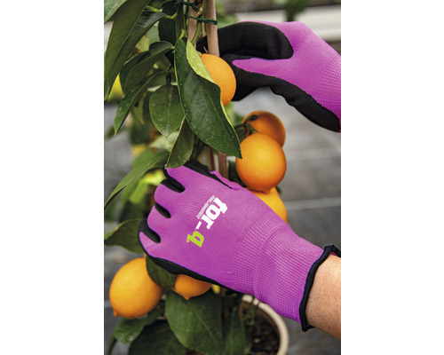 Personne portant des gants de jardin lors de la récolte d''agrumes