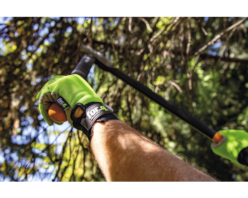 Personne avec des gants de jardinage tenant un fruit dans le jardin
