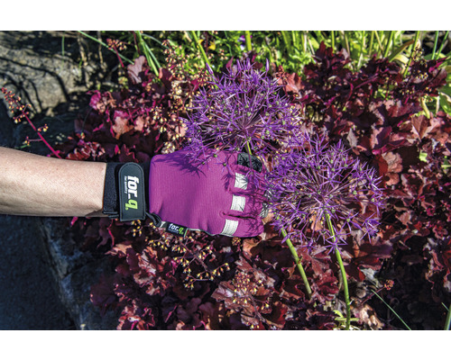 Une personne porte des gants de jardin de la marque For-Q et touche des alliums d''ornement.