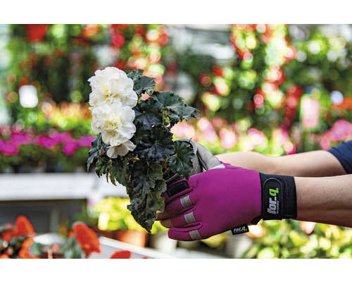 Une personne tenant un pot de bégonia blanc avec des gants de jardin.