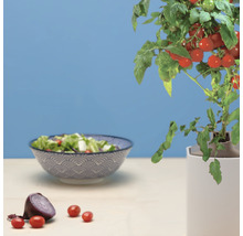 Plant de tomates à côté d''un saladier et d''un oignon rouge