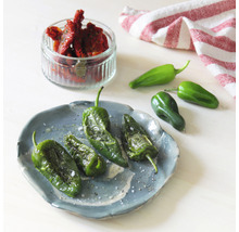 Pfefferoni ' Mini Pimientos de Padron ' Prêt à Pousser Gemüsesamen Kapsel für smarten Blumentopf Mini-Indoor Garten