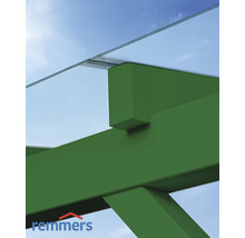 Vue détaillée d''un toit de terrasse avec des poutres en bois vertes et un toit en verre transparent. Logo Remmers.