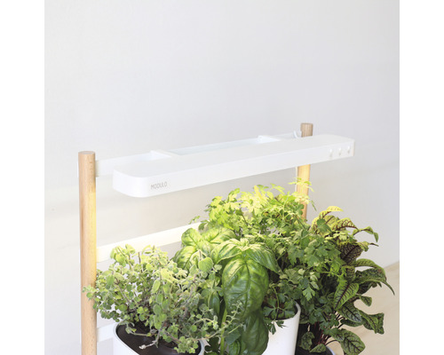 Étagère à plantes Modula avec herbes en pots