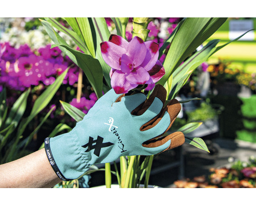 Une main gantée de jardinage touche une fleur rose.