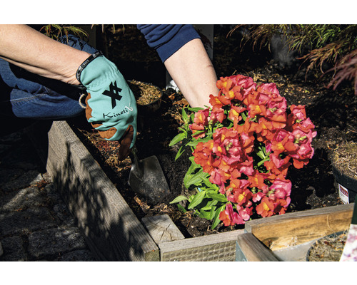 Une personne plante une fleur dans un parterre surélevé avec des gants et une pelle.