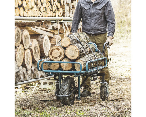 Mann transportiert Brennholz mit einer Transportkarre neben einem Holzstapel