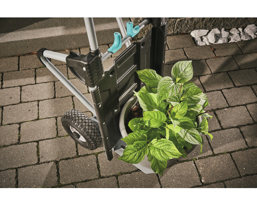 Chariot de transport Wolfcraft avec plante en pot