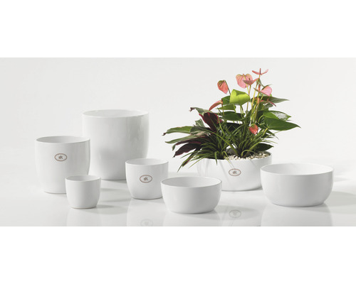 Pots de fleurs en céramique blanche de différentes tailles, dont un avec des plantes