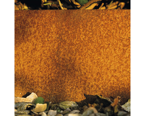 Rostige Metallplatte mit Steinen und Pflanzen