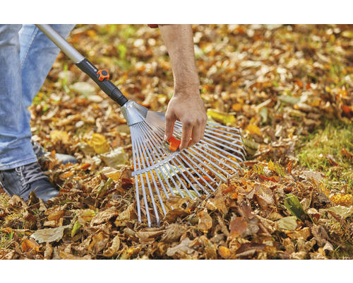 Râteler les feuilles avec un râteau à feuilles sur une pelouse