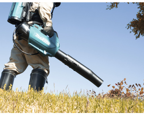 Eine Person benutzt einen Makita Akku-Laubbläser im Freien, um Laub zu entfernen.