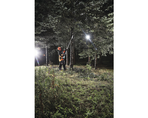 Eine Person arbeitet mit einer Hochentaster-Kettensäge in einem Wald.