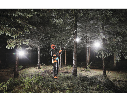 Ein Mann mit Sicherheitsausrüstung benutzt eine Hochentaster-Kettensäge im Wald.