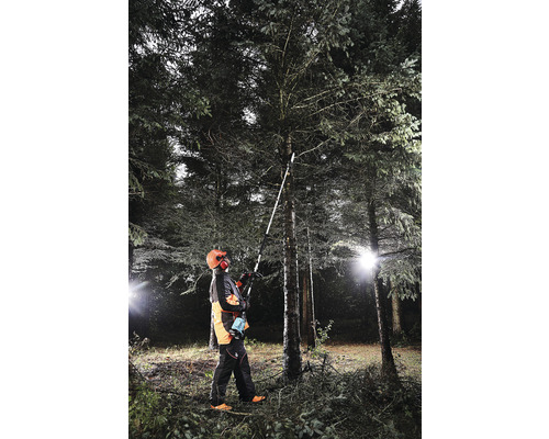 Mann mit Hochentaster bei Baumpflegearbeiten im Wald