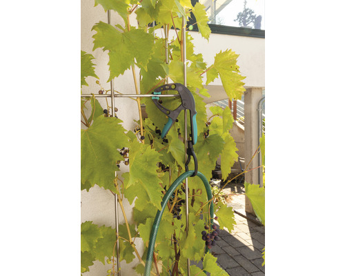 Gartenschlauchhalter an einem Rankgitter mit Weinstock befestigt