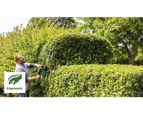 Eine Person schneidet eine Hecke mit einer Heckenschere. Ergonomisch.