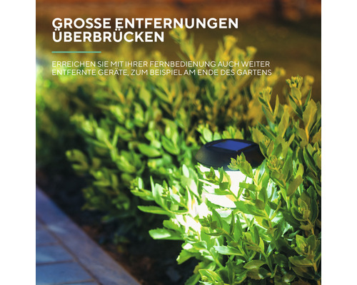 Solarleuchte im Garten zwischen Pflanzen, die große Entfernungen überbrückt.