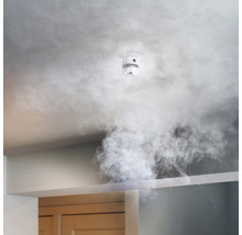 Détecteur de fumée intelligent frient Zigbee, détecteur de fumée Zigbee  blanc, compatible avec SMART HOME by hornbach - HORNBACH