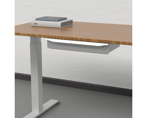 Bureau réglable en hauteur avec rangement et deux livres