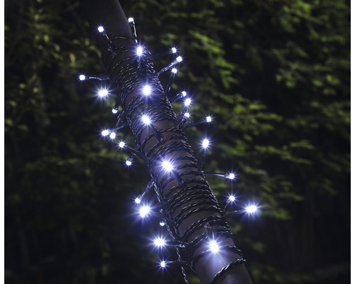 Guirlande lumineuse avec LED enroulée autour d''un arbre