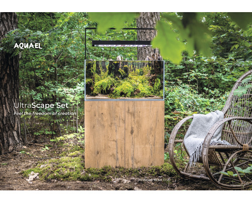 Kit d''aquarium avec plantes et fond en bois dans la forêt