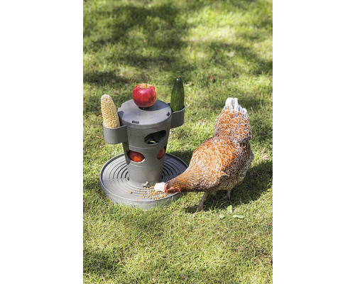 Distributeur de nourriture pour poulet avec épi de maïs, pomme, concombre et poulet sur une pelouse