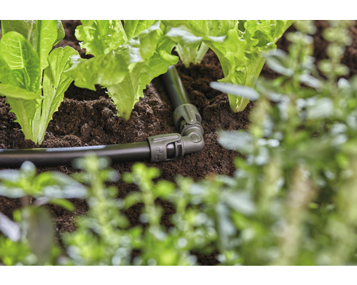 Système d''irrigation avec raccord dans un potager