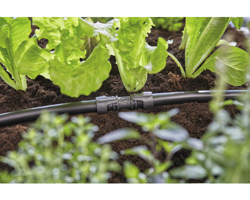Système d''irrigation avec élément de raccordement dans un parterre de jardin