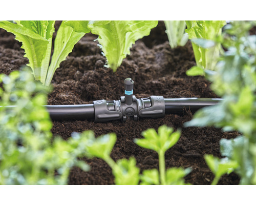 Bewässerungssystem mit Tropfer im Gartenbeet zwischen Pflanzen