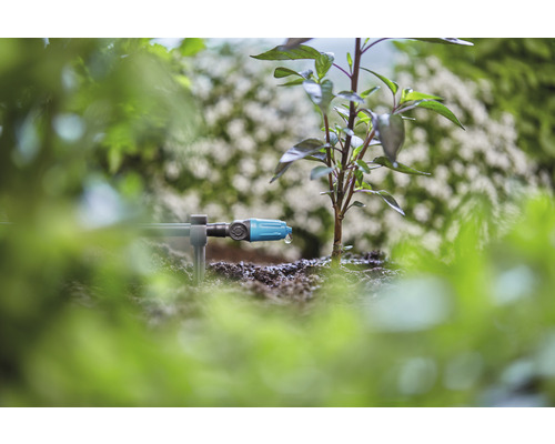 Bewässerungssystem für Pflanzen im Garten