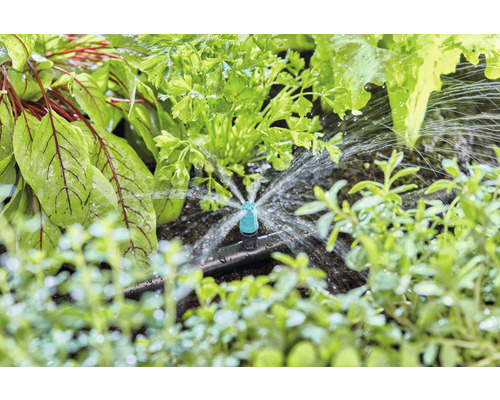 Bewässerungssystem im Gemüsebeet mit Salat, Petersilie und Kräutern