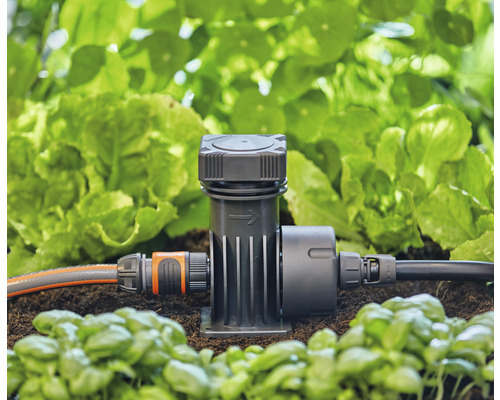 Distributeur d''irrigation avec tuyaux connectés dans le parterre