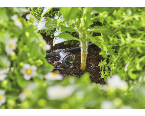 Tropfbewässerung im Gartenbeet zur Bewässerung von Pflanzen.