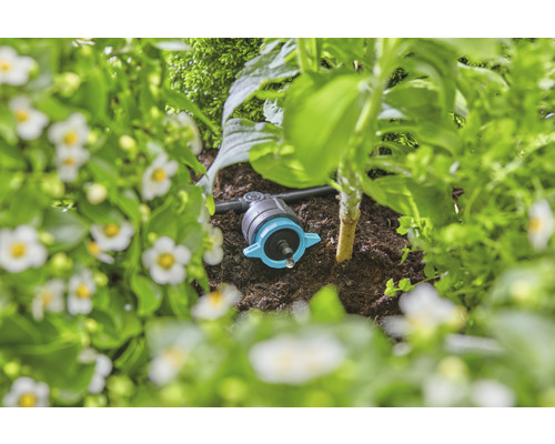 Tropfbewässerung im Gartenbeet zur Bewässerung von Pflanzen