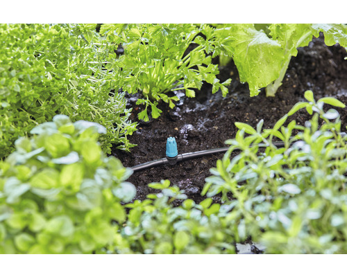 Bewässerungssystem mit Tropfern zwischen verschiedenen Pflanzen