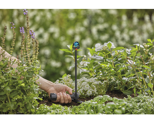 Arrosage de jardin avec arroseur multizone dans un parterre de fleurs