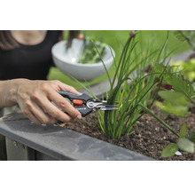 Frau erntet Schnittlauch mit einer Kräuterschere im Garten.