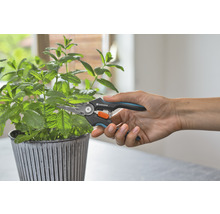 Gartenschere schneidet Pflanze im Topf