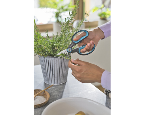 Une personne coupe du romarin avec une paire de ciseaux à herbes de Gardena.