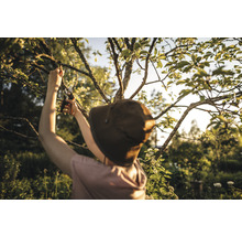 Eine Person mit Hut schneidet Äste eines Baumes mit einer Gartenschere.